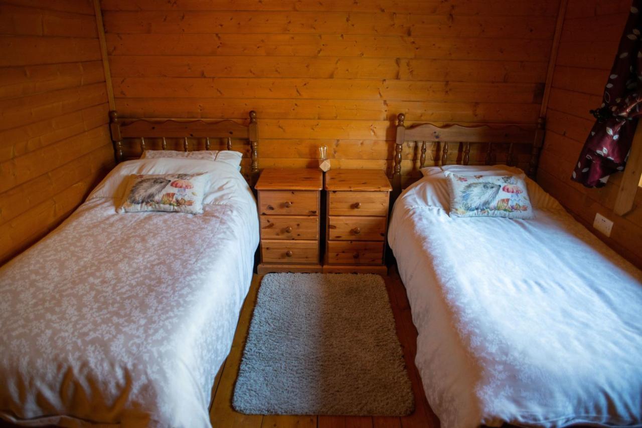 George Cabin - Log Cabin In Wales With Hot Tub Newtown (Powys) Exterior foto