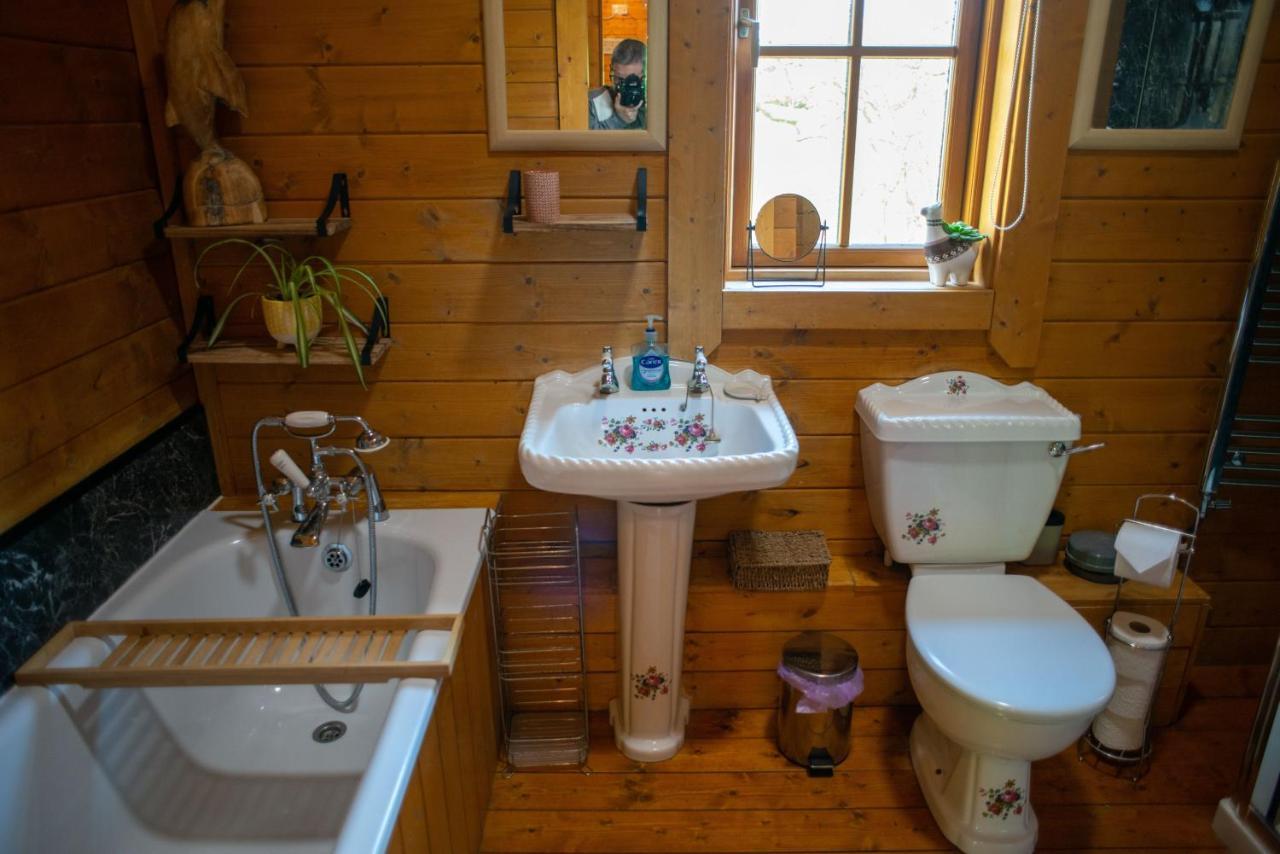 George Cabin - Log Cabin In Wales With Hot Tub Newtown (Powys) Exterior foto