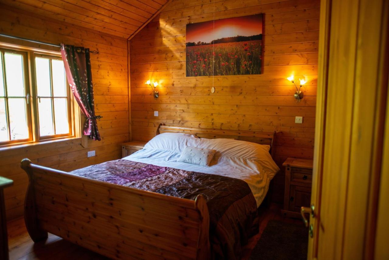 George Cabin - Log Cabin In Wales With Hot Tub Newtown (Powys) Exterior foto